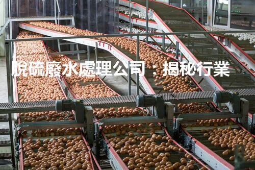 脫硫廢水處理公司：揭秘行業(yè)內(nèi)幕與以后趨勢(shì)？